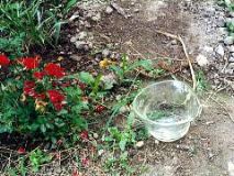 コップ（ぐにゃぷつ）